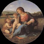 RAFFAELLO Sanzio The virgin mary oil